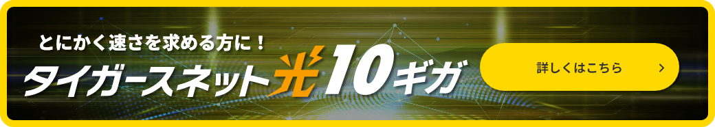 タイガースネット光 10ギガ