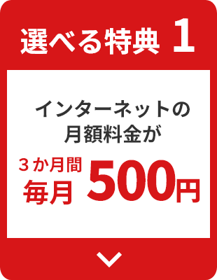 選べる特典 1 インターネットの
                  月額料金が３か月間毎月500円