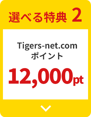選べる特典 2 Tigers-net.com
                  ポイント 12,000pt