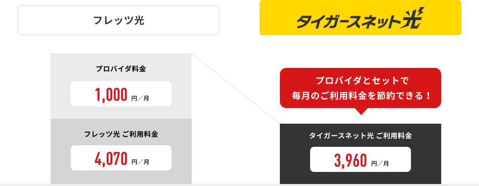 タイガースネット光の料金