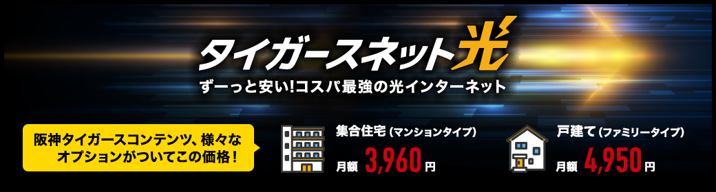 タイガースネット光 ずーっと安い！コスパ最強の光インターネット