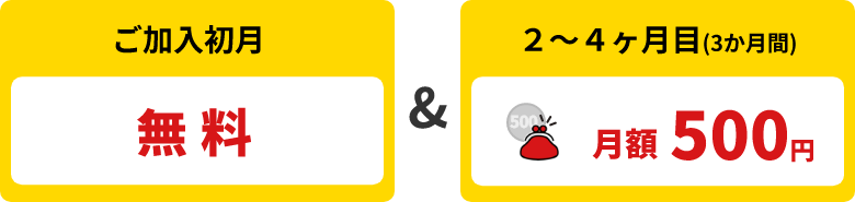 ご加入初月 無料 & 2～4ヶ月目(3か月間)月額500円